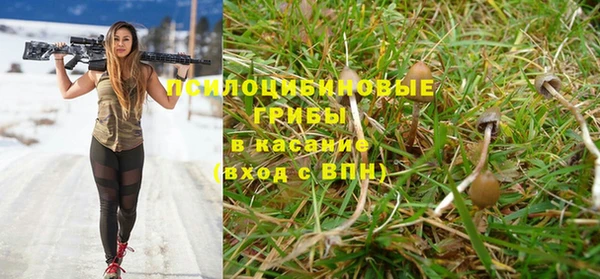 мет Алзамай