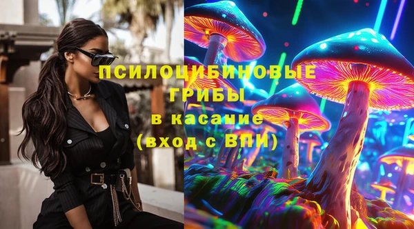 ECSTASY Дмитров