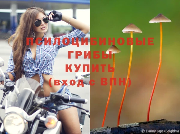 мет Алзамай
