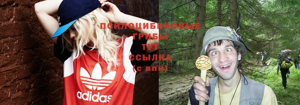 прущий лед Дмитриев